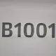 Dekal B1001