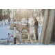 F3 kjedesagbruk (5 m) Stihl MS661 og enkel veivdrift